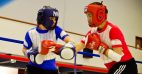 Top 10 Best Helmet Fighting Protectors in 2017 Reviews