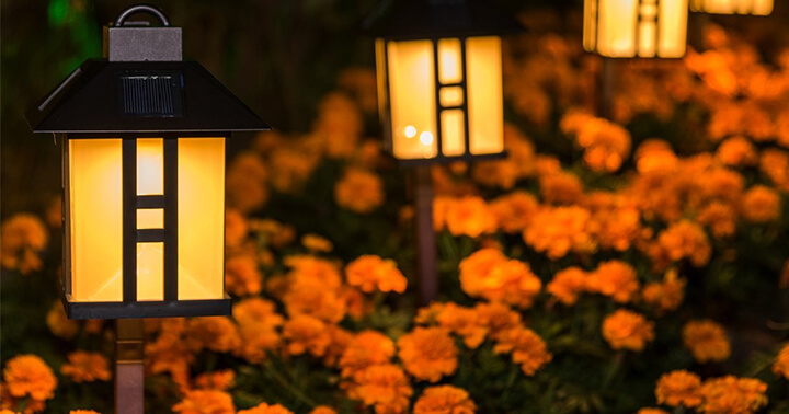 Top 10 Best Solar Lights for Garden Reviews