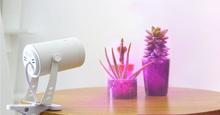 Top 10 Best Artificial Sunlight Lamp For Plants Reviews